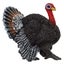Loading Image 1 of 1