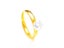 Gold Plated Stainless Steel Zirconia Couple Rings Carousel 8