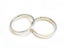 Premium Stainless Steel Ring Carousel 1