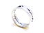 Hollow Stainless Steel Ring Carousel 3