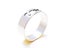 Hollow Stainless Steel Ring Carousel 3