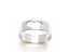 Hollow Stainless Steel Ring Carousel 1