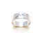 Hollow Stainless Steel Ring Carousel 1