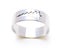 Hollow Stainless Steel Ring Carousel 1