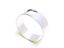 Hollow Stainless Steel Ring Carousel 1