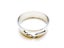 Hollow Stainless Steel Ring Carousel 2
