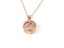 Rose Gold Pendant with Sparkling Zirconia Carousel 1