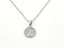 Delicate Splendor White Gold with Zirconia Necklace Carousel 2