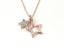 Zirconia Star Pendant on a Dreamy Rose Gold Chain Carousel 1