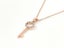 Rose Gold Key Pendant with Sparkling Zirconia Carousel 2
