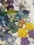 bulk lots of jewelry earrings brand new Carousel 12
