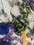bulk lots of jewelry earrings brand new Carousel 13