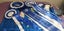 BRITISH SHORTHAIR KITTENS Carousel 4