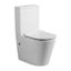 High Quality Ceramic Back to Wall Rimless Toilet Carousel 1