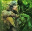 Loading Image 1 of 1