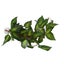 Loading Image 1 of 8