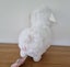 Alpacasso Amuse Plushies (CHOOSE ONE) Carousel 14