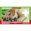 Emergency First Aid for Dogs at Home and Away Carousel 1