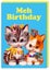 Card - Meh Birthday Carousel 1