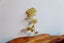 Brass book mark love rose great little gift for readers Carousel 2