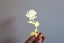 Brass book mark love rose great little gift for readers Carousel 9