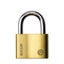 60mm Brass Padlock Carousel 1