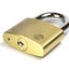 60mm Brass Padlock Carousel 2