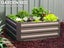 Garden Bed Carousel 1