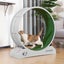 Cat Running Wheel Carousel 7
