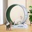 Cat Running Wheel Carousel 9