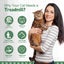 Cat Running Wheel Carousel 12