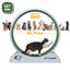 Cat Running Wheel Carousel 13