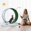 Cat Running Wheel Carousel 14