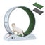 Cat Running Wheel Carousel 15