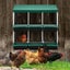 Chicken Nesting Box Carousel 10