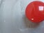 *** Set of Tui Slater Designed Pot Lid Wall Hangings *** Carousel 4
