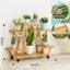 Artists Bamboo Flower Planter Rack Shelves Carousel 3