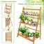 Bamboo Foldable Plant Rack New Carousel 4
