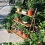 Bamboo Foldable Plant Rack New Carousel 6