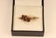 Vintage 9ct Three-stone Amethyst ring Carousel 4