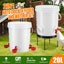 Chicken Feeder - Sale NZ Stock Deal Carousel 3