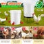 Chicken Feeder - Sale NZ Stock Deal Carousel 4