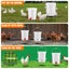 Chicken Feeder - Sale NZ Stock Deal Carousel 10