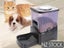 PTN NEW Pet Feeder Sale Sale Carousel 2