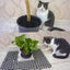 Cat Deterrent Mat,Scat Mat for Cats with Spikes Carousel 2