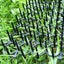 Cat Deterrent Mat,Scat Mat for Cats with Spikes Carousel 6
