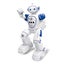 R21 Intelligent Programmed Remote Control Electric Robot Carousel 11