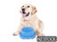 PTN NEW Dog Feeder Sale Sale Carousel 4