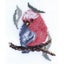 Loading Image 2 of 2