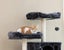 Cat Tree Carousel 8